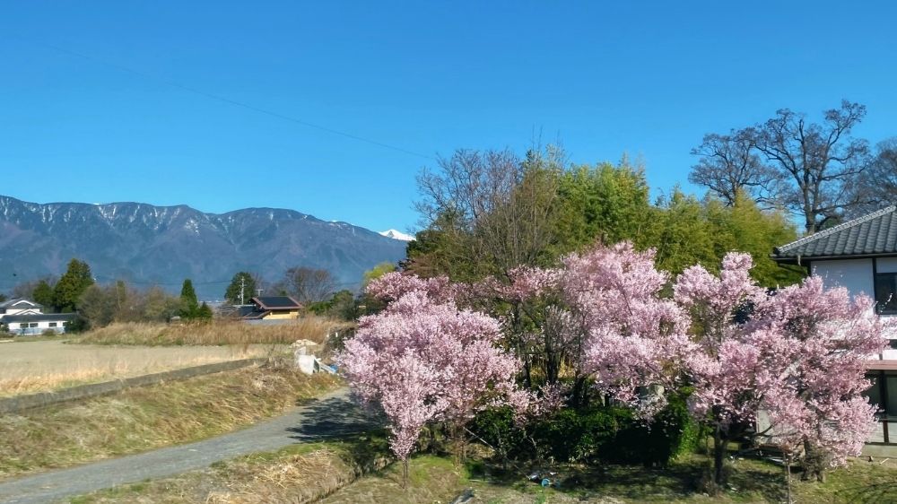 中の湯へ向かうバスからの眺め