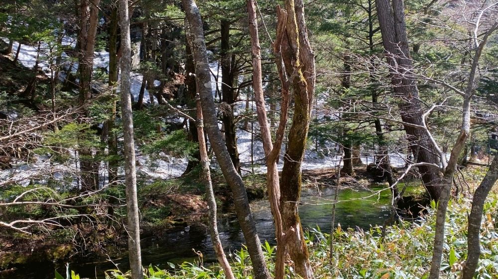 開山前の上高地