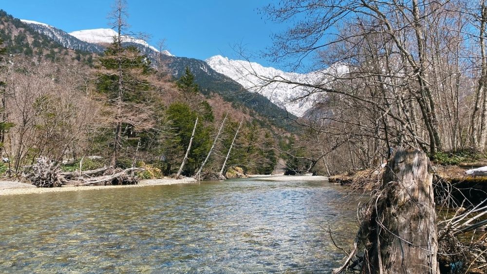 田代池から田代橋までの風景